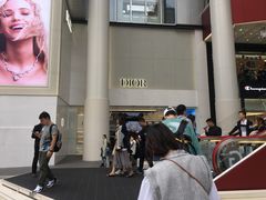 -Dior迪奥(上海世茂广场店)