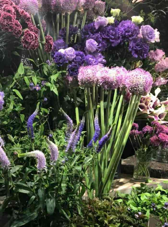 melancholyflower工作室-"嗯,买了那么多次花,这次算是最最恶心的一.