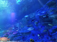 -沈阳海洋探索中心