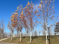 -瀛海足球主题公园