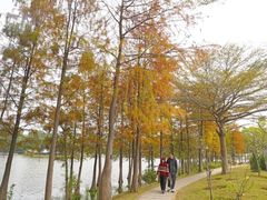 -东莞植物园