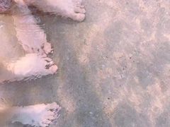 -西涌国际滨海旅游区