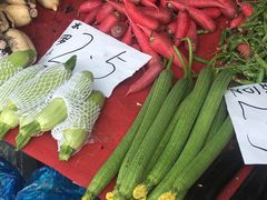 -何庄子阿米玛玛农产品批发市场