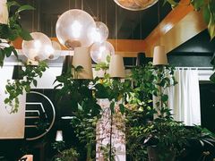 -柴务处·柴犬主题狗咖