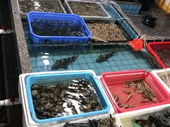 -霞涌市场海鲜摆卖区