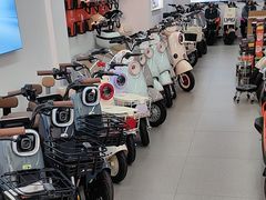 -雅迪电动车(北艾路店)