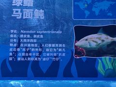 -海合安成都极地海洋公园