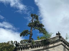 -潭柘寺景区