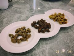 -朱记乳鸽王·非遗石岐乳鸽·全鸽宴(大兴旗舰店)