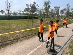 -春花秋色城市公园