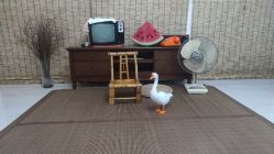 -乐米baby儿童摄影(燕郊店)