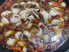 -金三可市井水煮鱼(金碧园店)