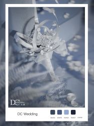 -DC大蔡婚礼策划(李公堤店)