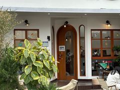 -有猫主题·治愈系猫咖(曾厝垵店)