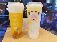 -一只酸奶牛(洪崖洞11楼店)