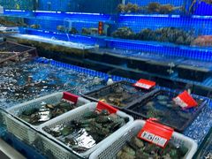 -三旗百汇商品城