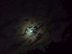 android_upload_pic-三亚亚龙湾红树林度假酒店