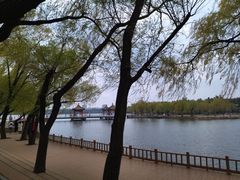 -长春市南湖公园