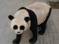 android_upload_pic-太原动物园
