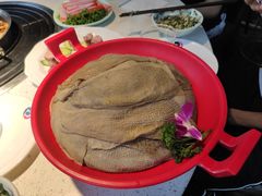 -二荆条·蜀鲜汇城市森林火锅