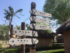 -太阳部落