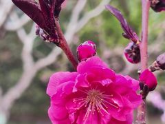 -东升八家郊野公园