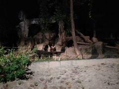 -清迈夜间动物园