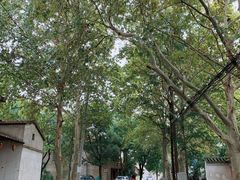 -东湖落雁景区
