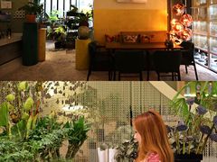 -PlantsEatery·植物食堂(REX春熙店)