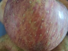 -中天钢铁体育馆(南一门店)