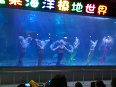 -蓬莱欧乐堡海洋极地世界
