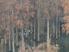 -青山湖景区