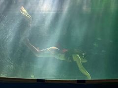 -常州海昌海洋探索馆