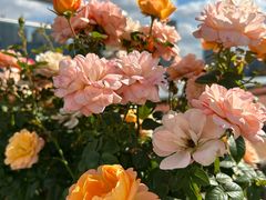 -Kathleen's Waitan 凯圣琳江景西餐厅(外滩店)