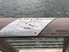 -星光大道