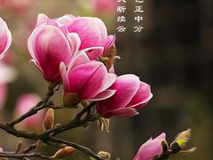 -福清灵石山国家森林公园