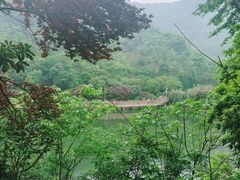 -桃花岭景区