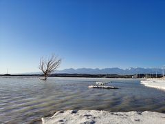 -盐湖景区
