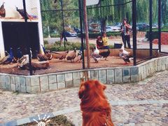 -月亮河温泉度假酒店