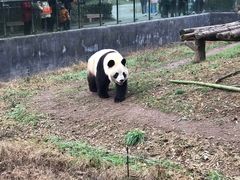 -宁波野生动物园