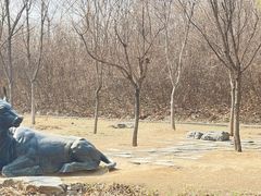 -马家湾湿地公园