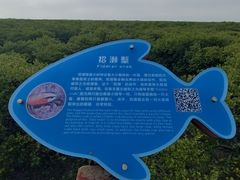 -北海金海湾红树林生态旅游区