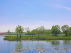 -苏州太湖湖滨国家湿地公园