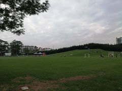 -迪茵湖田家舍生态农场