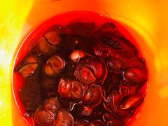 -白河湾山水缘民宿