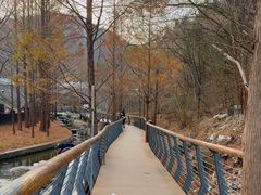 -白水寺森林公园
