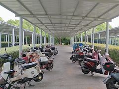 -顾村公园3号门停车场