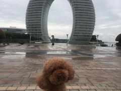 -湖州太湖旅游度假区-月亮广场