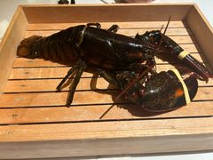 -香樟花园法式铁板烧(恒隆广场店)