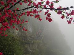 -重庆云阳龙缸景区